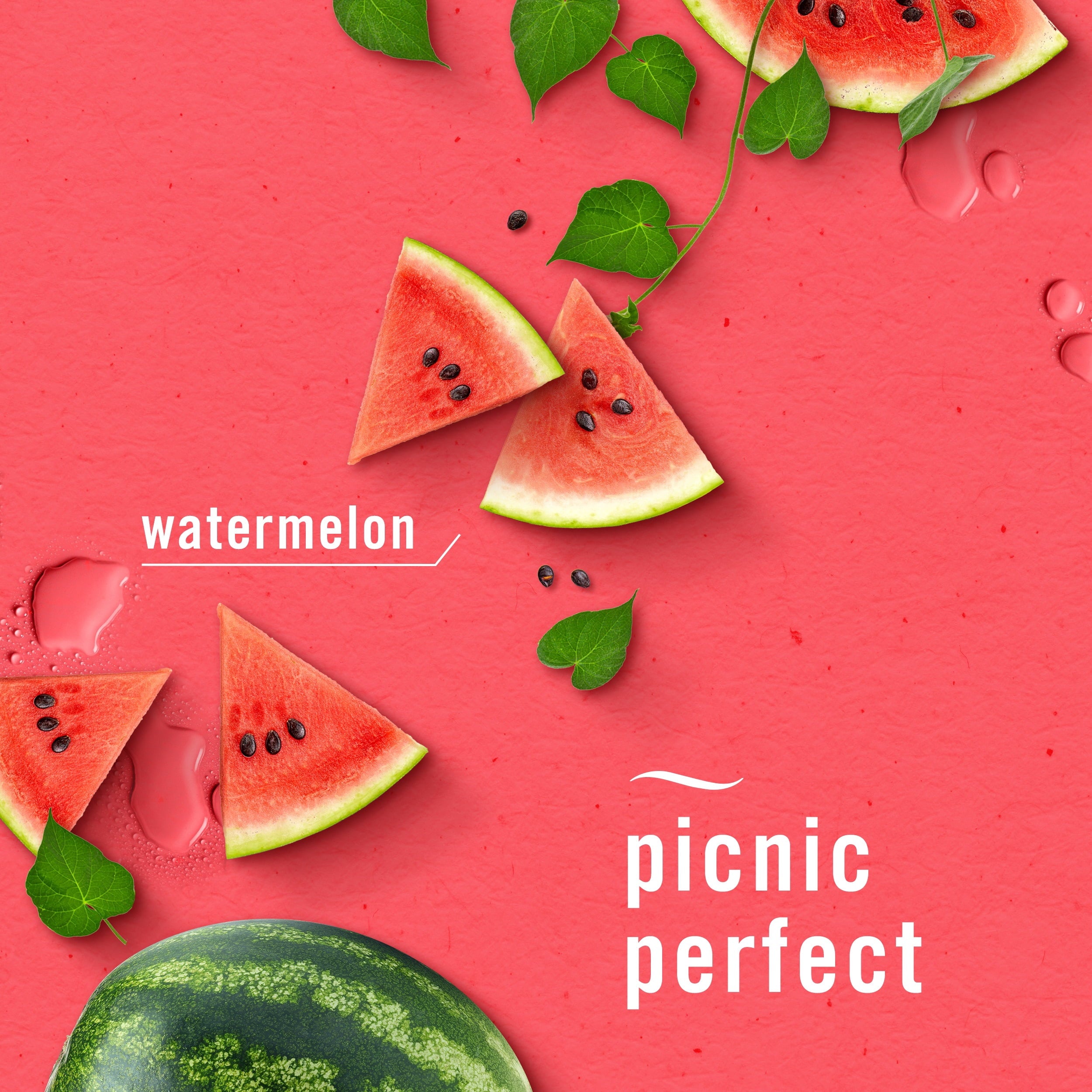 Febreze Aerosol 2pk - 8.1oz Watermelon