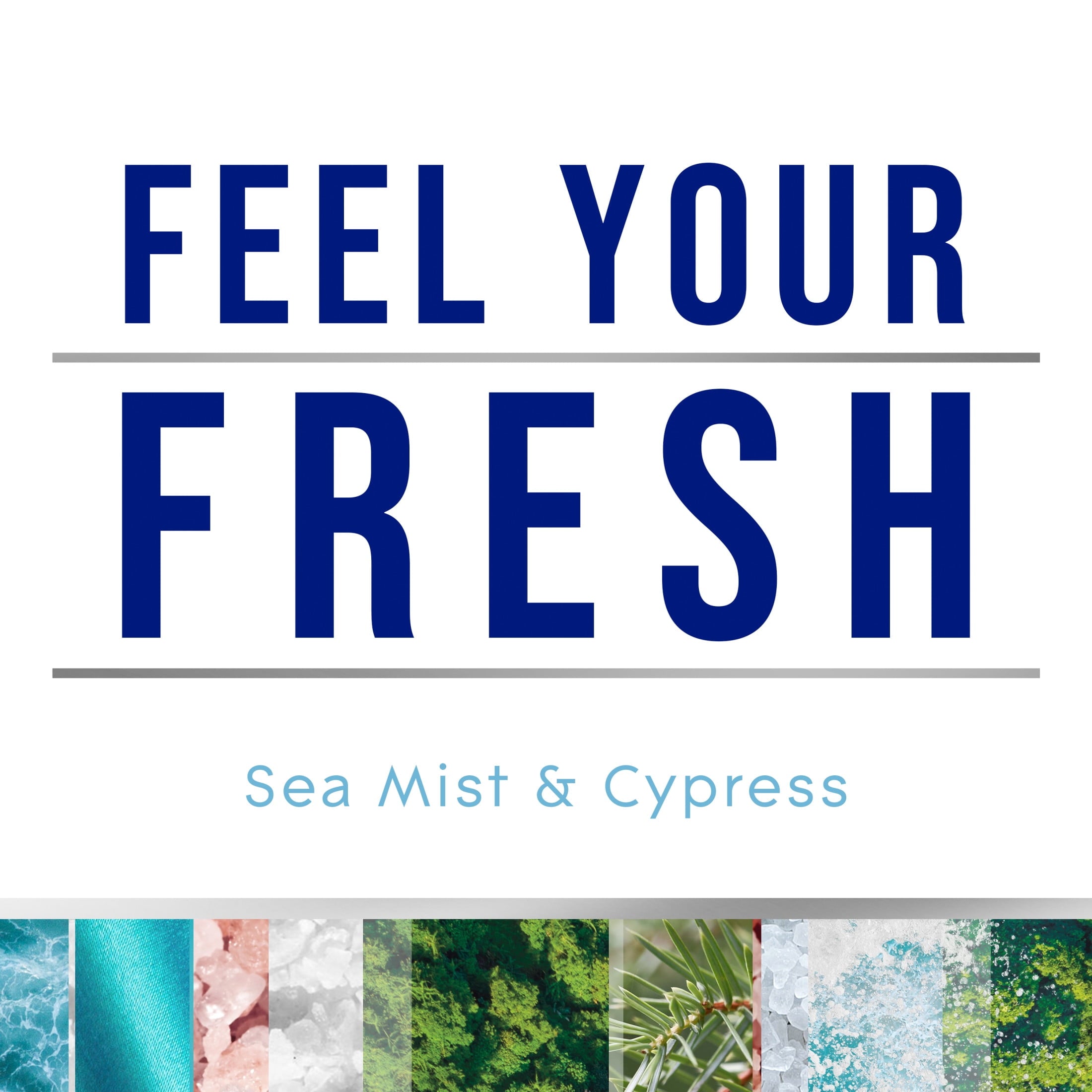 Glade Automatic Spray Air Freshener Refills - Sea Mist & Cypress, 6.2 oz, Fresh Collection