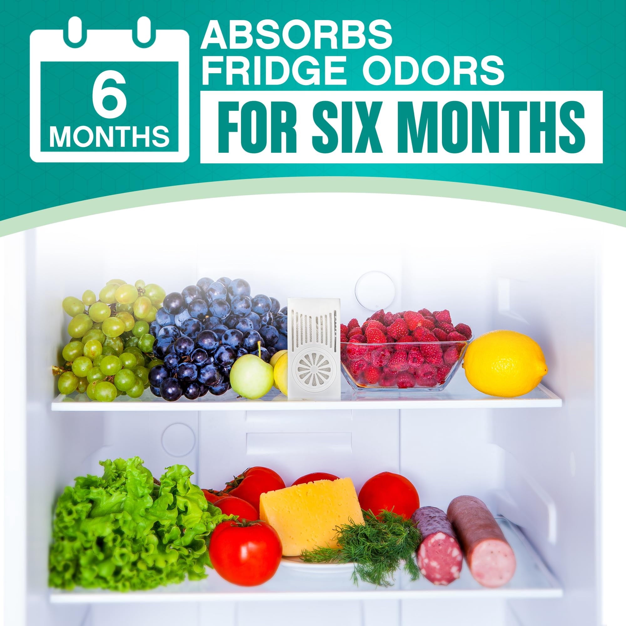 Fresh Nest Refrigerator Deodorizer with Zeolites