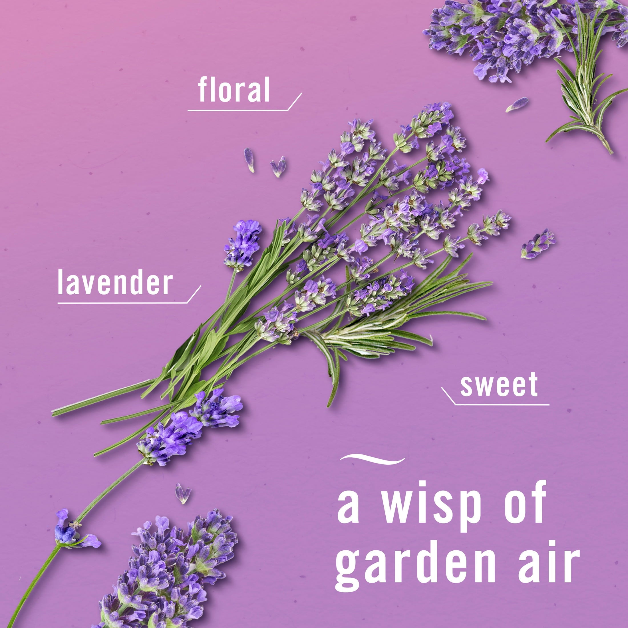 Febreze Air Mist Air Freshener Spray - Twilight Lavender, 8.1oz, 2 Count